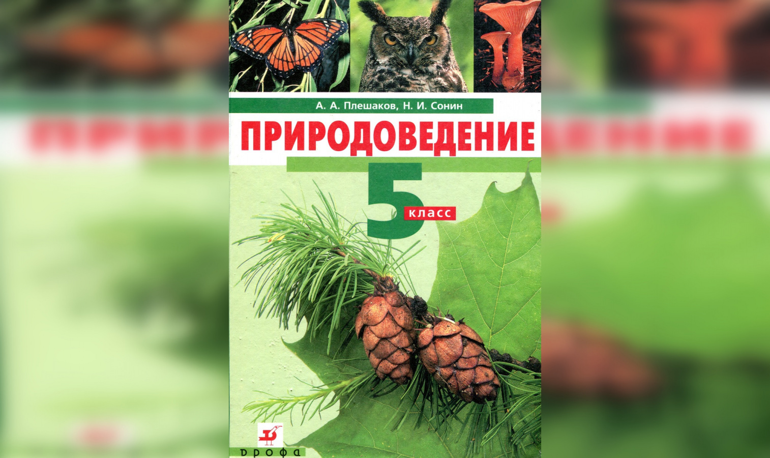 Экологию предложили вернуть в школьную программу - «Экология России»