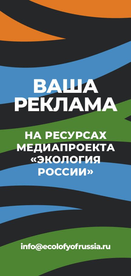 Истории