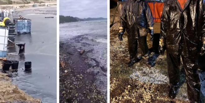 Мазут на побережье Туапсе: по-прежнему не хватает рук убрать