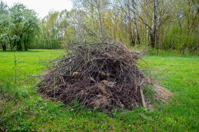 Суд обязал Рослесхоз навести порядок в брянских лесах на ООПТ