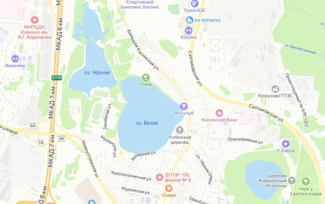 Московские чиновники пришли на совет к науке по поводу Косинских озер