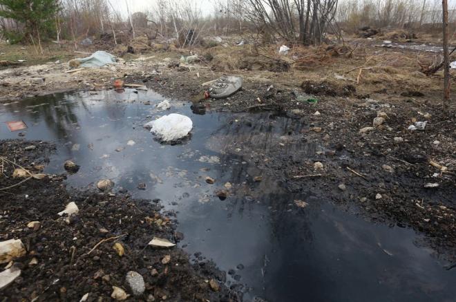 В питомнике с редкими растениями на берегу реки Казанки устроили свалку