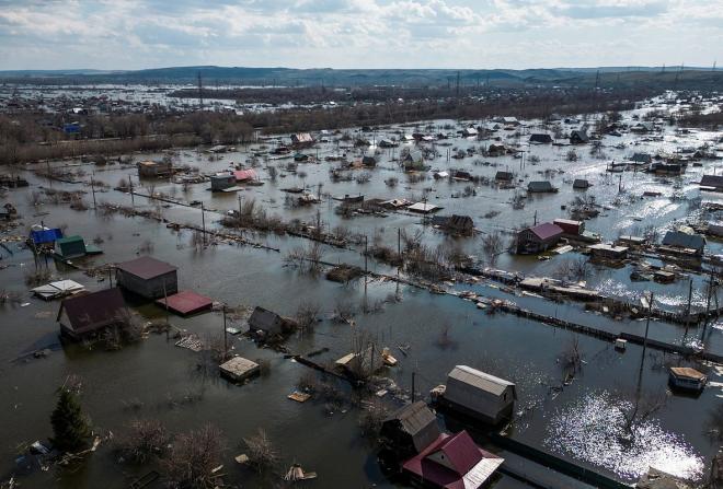 В Оренбуржской области ежи, зайцы и змеи устремились в город, спасаясь от большой воды