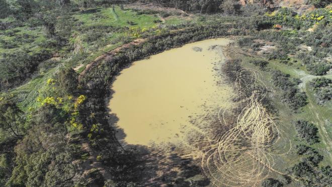 Ситуацию с варварской добычей золота в России можно решить