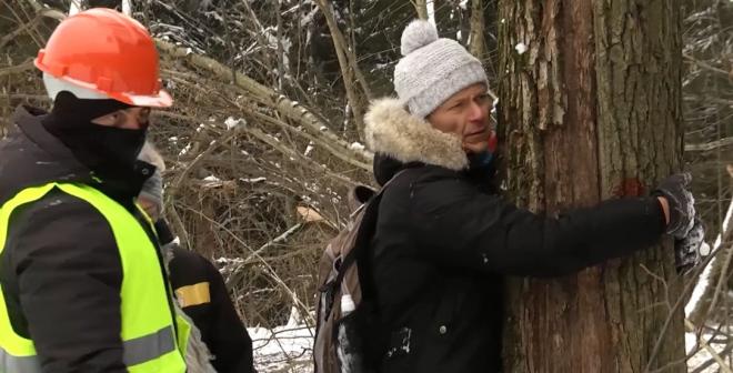Троицк – это где? Проблема лесопарка города остается незаметной для чиновников