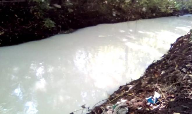 В Барнауле река окрасилась в белый цвет