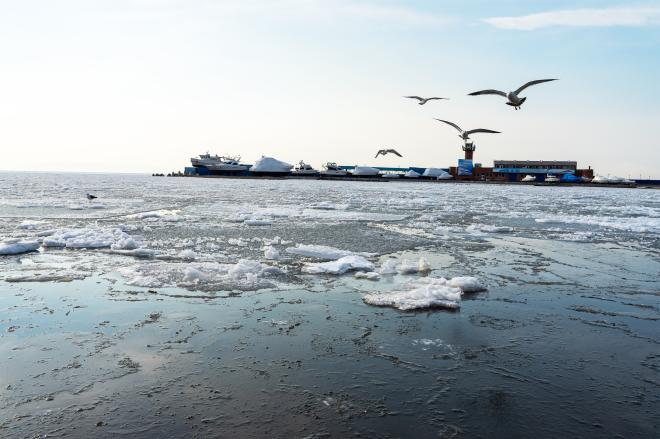 Нерегулируемый туризм – растущая угроза для морских экосистем России