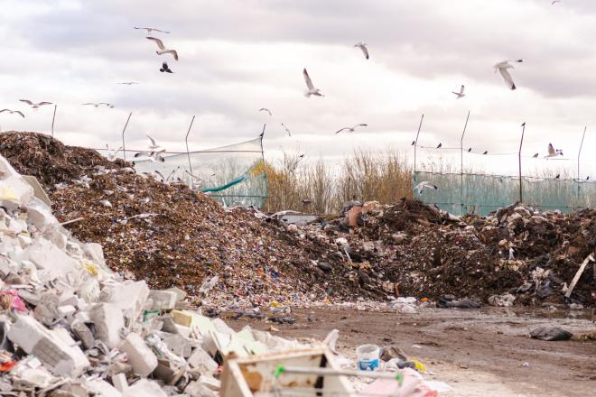 Около 30 млрд  рублей направят на ликвидацию свалок в 2023 году