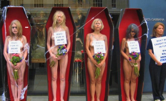  «Dolce & Gabbana» окончательно отказался от натурального меха