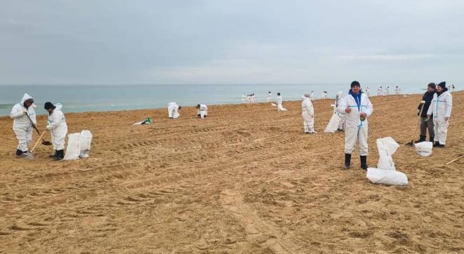 Вице-премьер Савельев об отдыхе в Анапе: «По работе пляжей и доступа к морю ждём заключения Роспотребнадзора»