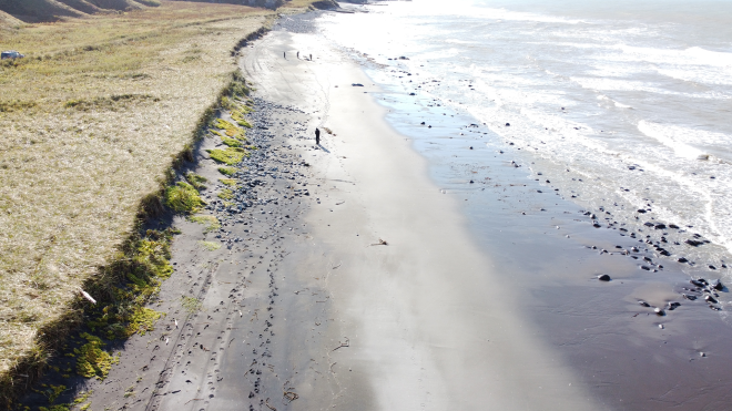 Более 50 километров труднодоступных заповедных побережий убрали от мусора с помощью нейросетей