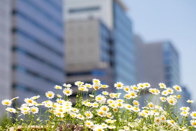 В проект «Чистый воздух» войдет 41 город
