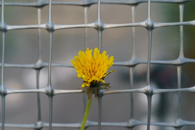 Сотрудникам Кроноцкого заповедника вынесли реальные сроки