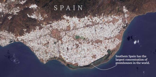 Растущее количество теплиц стремительно увеличивает пластиковые отходы