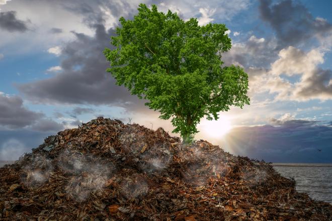 На труднодоступных территориях теперь можно накапливать отходы на один месяц дольше – 12 месяцев