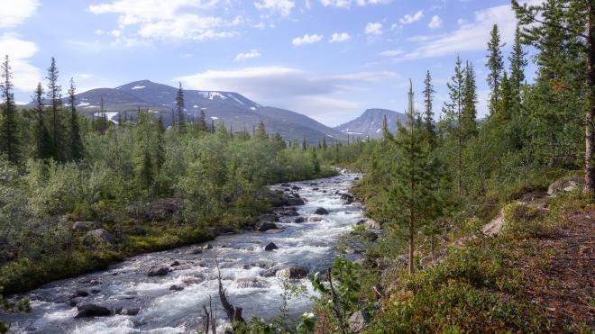 «По своей природе»: финалисты в номинациях. Часть III