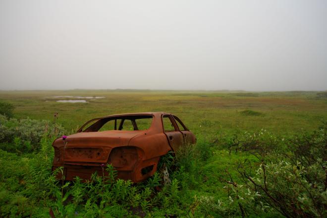 «По своей природе»: финалисты в номинациях. Часть II