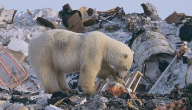 Более трех тысяч тонн металла будет вывезено из Арктики