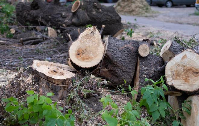 Сокрытие экологической информации оценили в рублях