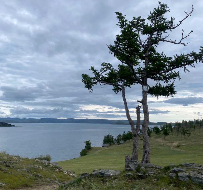 Лидеры партийных фракций Госдумы ответили, что думают о законопроекте по Байкалу