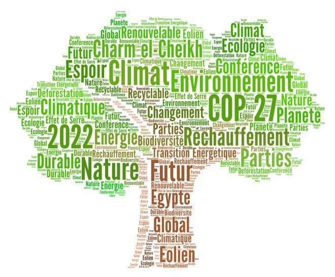 COP27: создан фонд компенсации ущерба климату