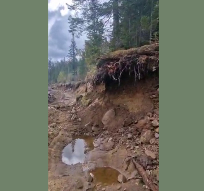 Заготовка древесины в Хабаровском крае ведется варварским способом