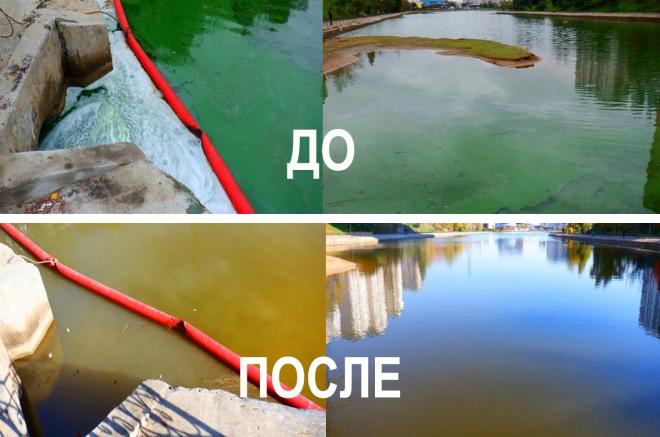 Найдено решение против «цветения воды» Найдено решение против «цветения воды»