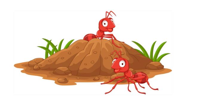 Помогает ли корица бороться с непрошенными гостями – муравьями? 