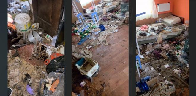 Гибель около 200 животных в ростовском приюте проверяет прокуратура