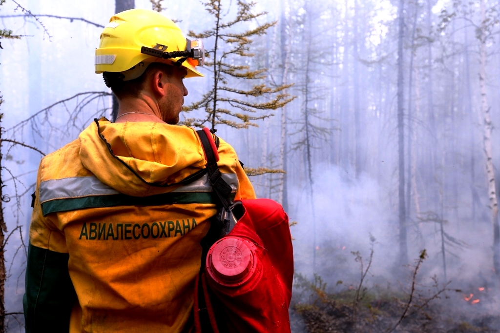 В Иркутской области потушен последний лесной пожар - «Экология России»
