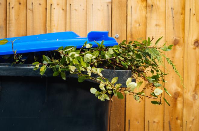 Две недели дали на подготовку дорожных карт по обращению с ТКО