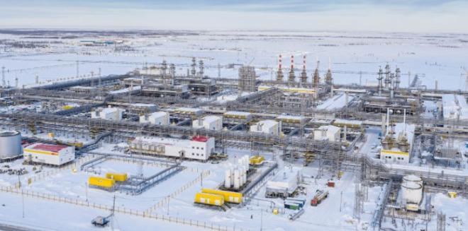 Как раскрыть способности лесоклиматических проектов