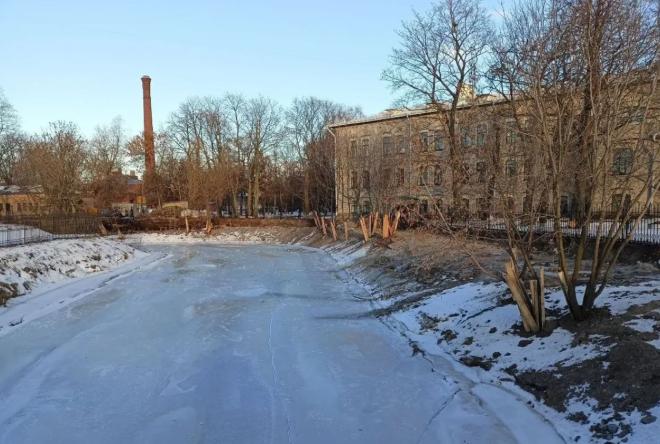 Следственный комитет проверит жалобы о вырубке деревьев в Санкт-Петербурге