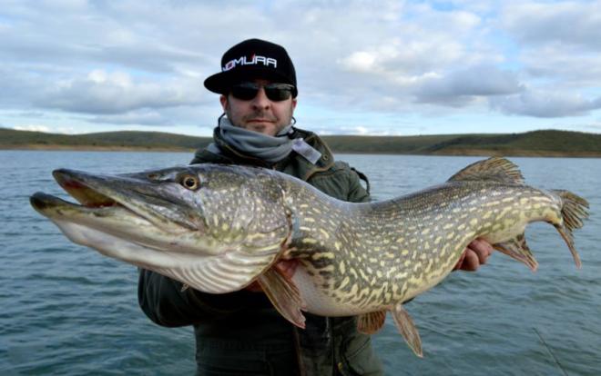 Рыбаки должны перестать ловить большую рыбу