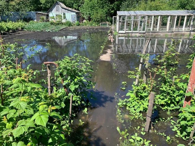 Исправительная колония в Тульской области сливала нечистоты на дачные участки
