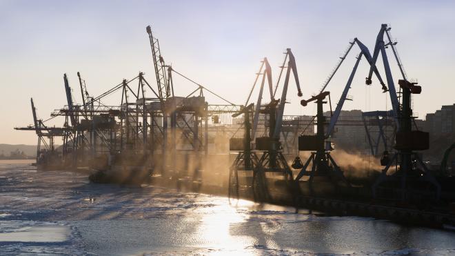 Стивидоры в Находке работают без экологической экспертизы