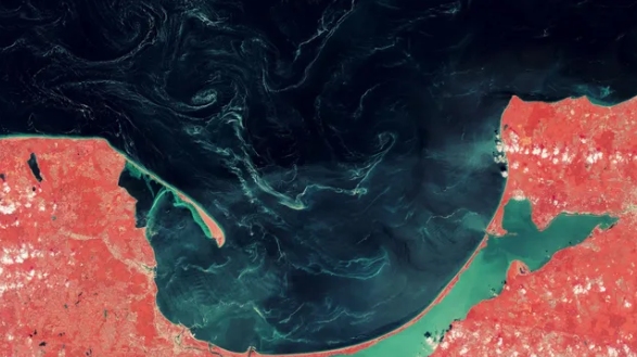 Ученые разгадали загадочную субстанцию в Балтийском море