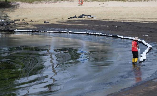 Как Сингапур готовится оценить ущерб на морском побережье после разлива мазута