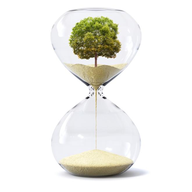 Глава ООН по климату:  у человечества есть два года, чтобы спасти мир