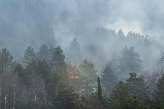 Сибирские пожары дают до 20 % от общего объема выбросов парниковых газов в России