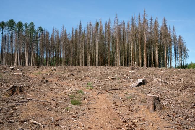 В Оренбурге посчитали экологические преступления