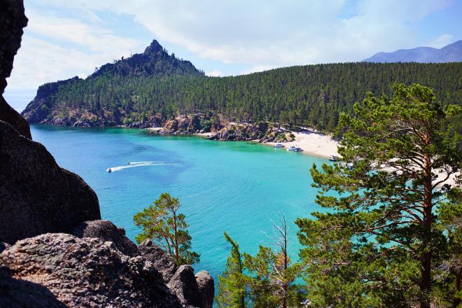 Ученые трех Научных советов РАН, представители религиозных общин призвали остановить законопроект о сплошных рубках на Байкале