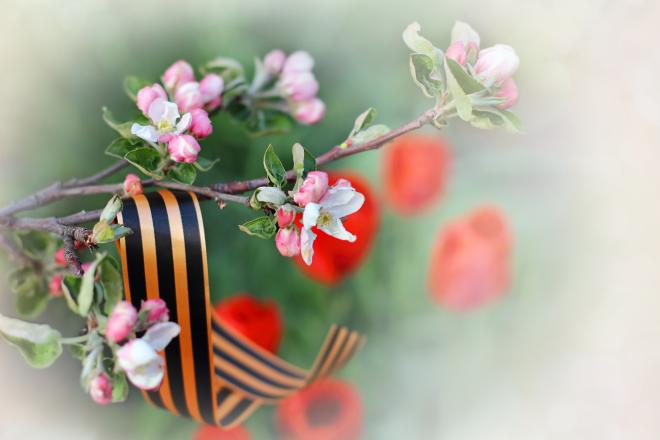 День Победы: наука на страже природы и помощи фронту