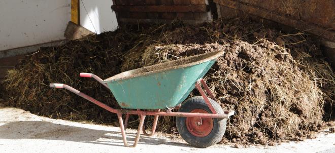 В Томске придумали,  как запах навоза превратить в хлебный аромат