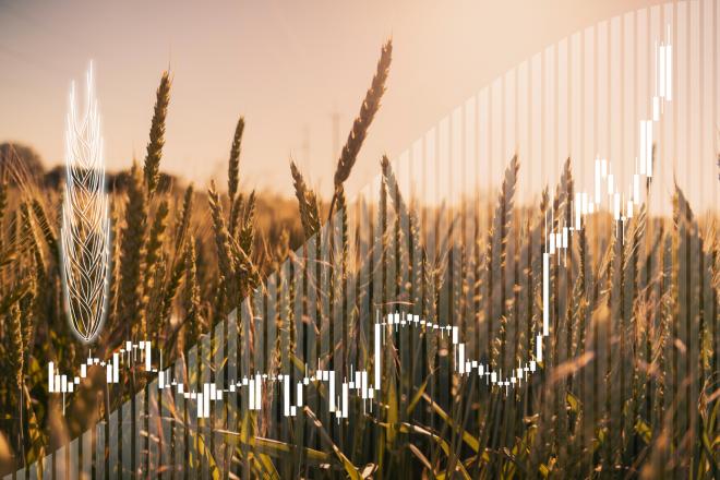 В России появится каталог особо ценных образцов растений