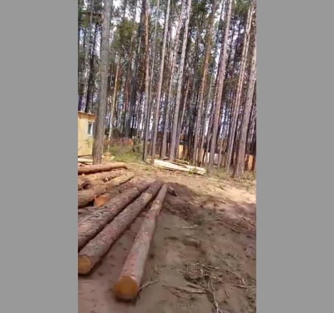 Стало известно, когда будут обсуждать резонансный законопроект по Байкалу