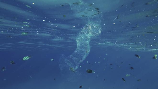 Тайфун в Приморье может оставить рыбу без корма