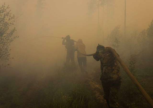 Эксперт рассказал о масштабных проблемах борьбы с лесными пожарами