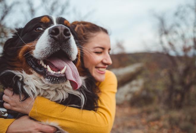 Останутся ли в России dog-friendly пляжи?