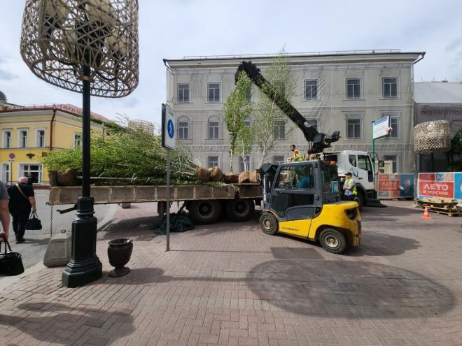 Мобильное озеленение началось в Москве, но есть вопросы